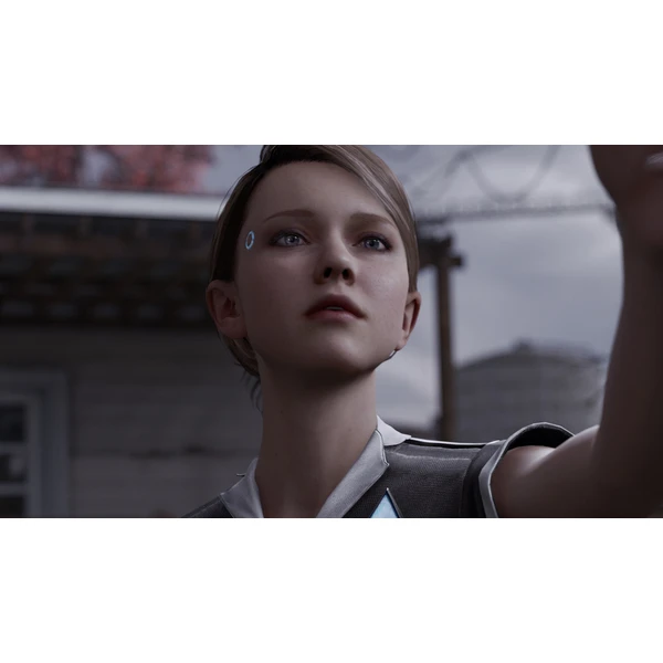 DETROIT Become Human (PS4) - Hry na PS4 - Obrázok A8Y3100201