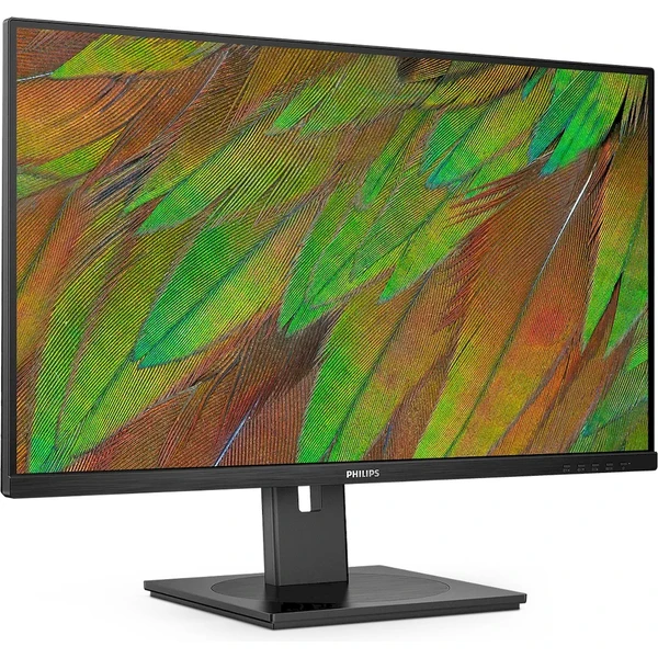 Philips 32B1N3800/00 31,5" - Monitory - Obrázok AD1P000K01