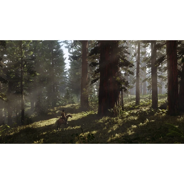 Red Dead Redemption 2 (Xbox One) - Hry na Xbox One - Obrázok AJI3100201