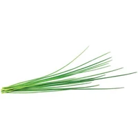 Click and Grow pažítka kapsule so semienkami a substrátom 3ks - Sadenice