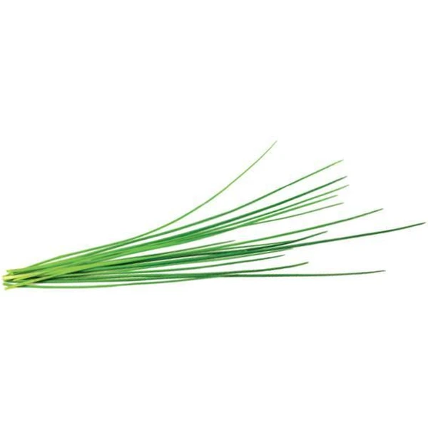 Click and Grow pažítka kapsule so semienkami a substrátom 3ks - Sadenice - Hlavný obrázok