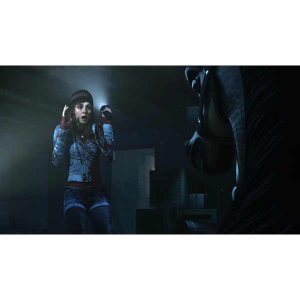 Until Dawn (PS HITS) (PS4) - Hry na PS4 - Obrázok AR6I100201