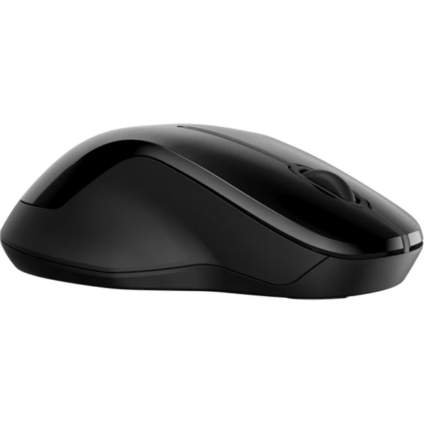 HP 250 Dual Mode bezdrôtová myš - Myši - Hlavný obrázok