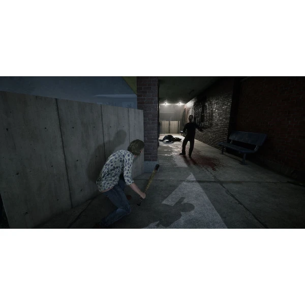 The Walking Dead: Destinies (PS4) - Hry na PS4 - Obrázok B26T100501