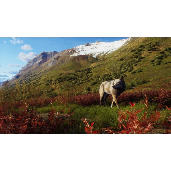 Way of the Hunter Wild Expeditions (PS5) - Hry na PS5 - Obrázok B3L9000L01