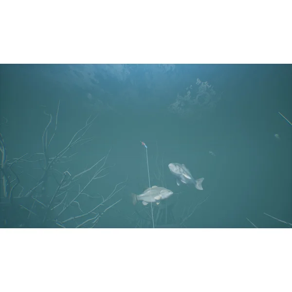 Bassmaster Fishing 2022 (PS4) - Hry na PS4 - Obrázok BART600301