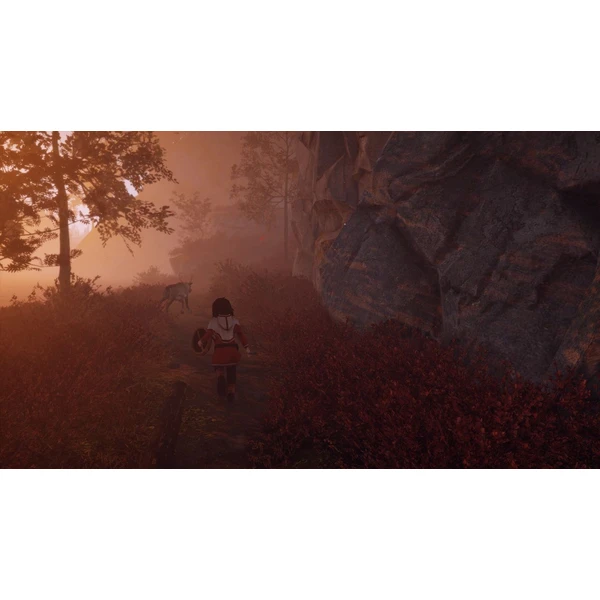 Skábma Snowfall (PS4) - Hry na PS4 - Obrázok BBF2G00101