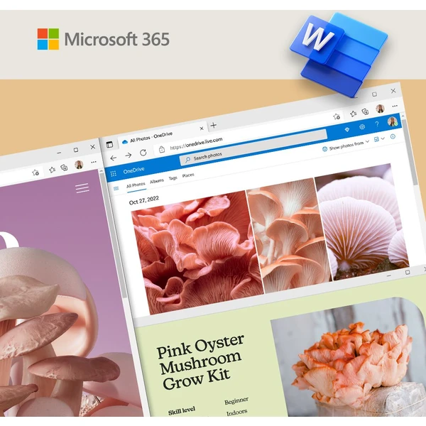 Microsoft 365 Business Standard Mac/Win CZ predplatné na 1 rok - Softvér - Obrázok BMXYF00101