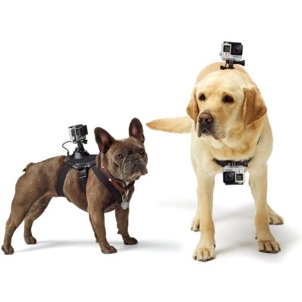 GoPro Fetch postroj pre psov - Držiaky - Obrázok BPGM000101