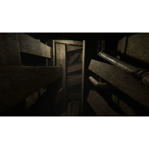 MADiSON (PS5) - Hry na PS5 - Obrázok BUPB100501