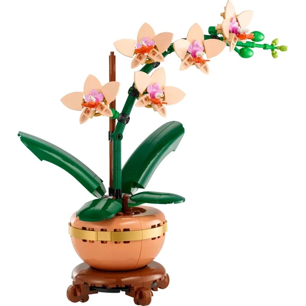 LEGO Botanicals 10343 Miniatúrna orchidea - LEGO - Obrázok C37G000N01