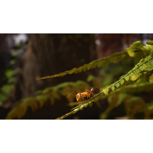 Empire of the Ants (XSX) - Hry na Xbox Series - Obrázok C3BA000J01