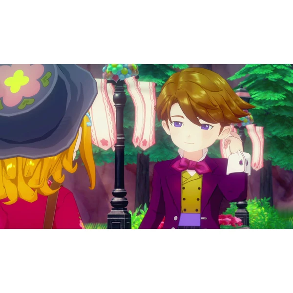 Story of Seasons: Grand Bazaar Limited Edition (Switch) - Hry na Nintendo Switch - Obrázok C4YE000O01