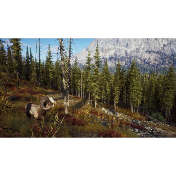 Way of the Hunter - Hunting Season One (PS5) - Hry na PS5 - Obrázok CEZ6000701