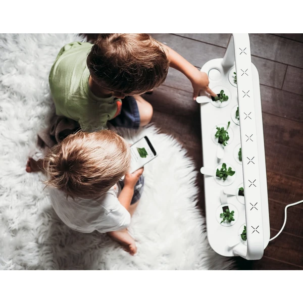 Click and Grow Smart Garden 9 šikovný kvetináč + 9ks kapsúl so semienkami sivý - Kvetináče - Obrázok CLEQ000401