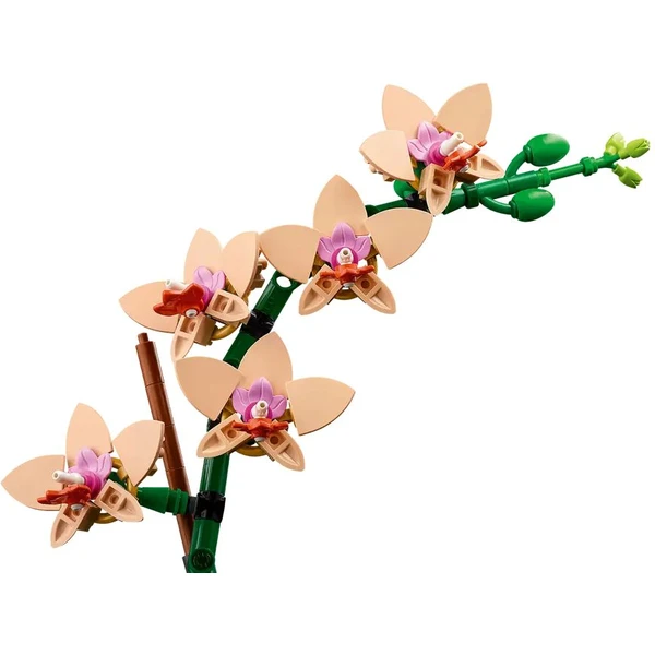 LEGO Botanicals 10343 Miniatúrna orchidea - LEGO - Obrázok D37G000N01