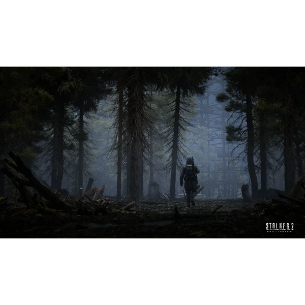 STALKER 2: Heart of Chornobyl Limited Edition (Xbox Series X) - Hry na Xbox Series - Obrázok D4D4000K01