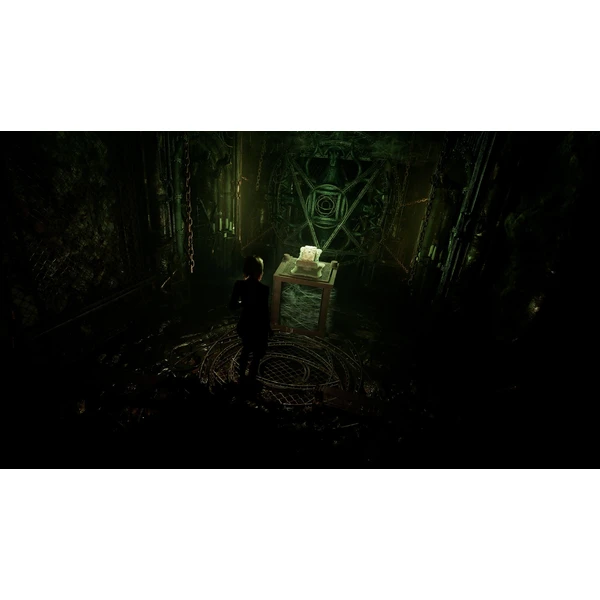 Tormented Souls 2 (PS5) - Hry na PS5 - Obrázok D7LH000N01