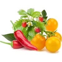 Click and Grow Mix ovocia a zeleniny - Sadenice