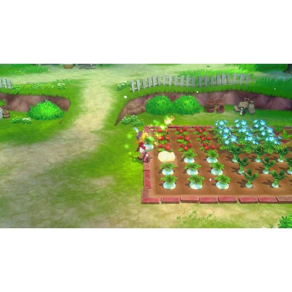 Story of Seasons: Grand Bazaar Limited Edition (Switch) - Hry na Nintendo Switch - Obrázok E4YE000O01