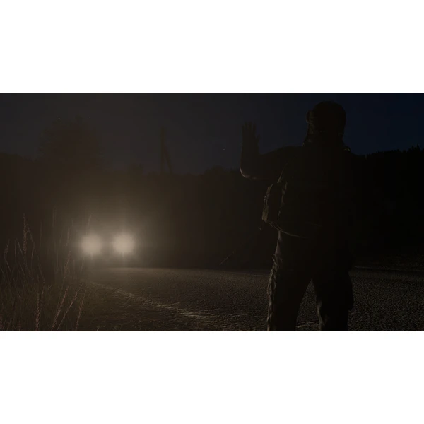 DayZ (PS4) - Hry na PS4 - Obrázok E9J3100201