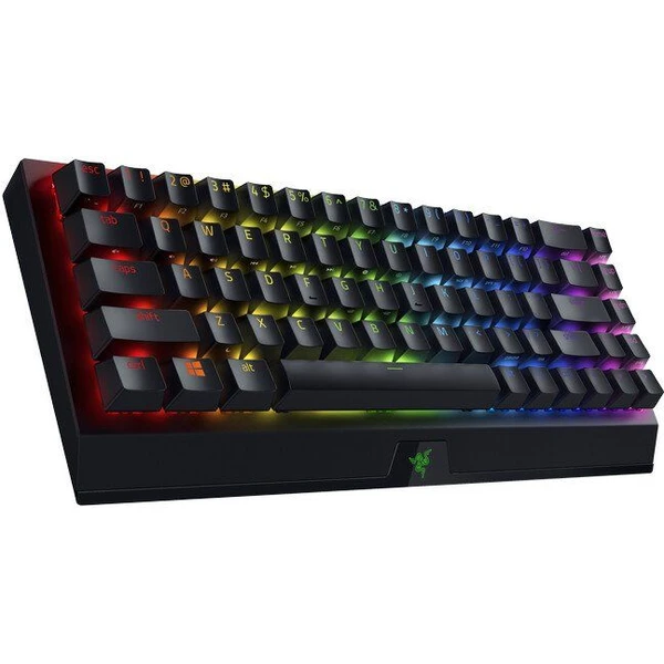 BlackWidow V3 Mini HyperSpeed (Yellow Switch) - US Layout - Klávesnice - Obrázok EKMG100501