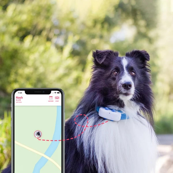 Tractive GPS DOG 4 tracker polohy a aktivity pre psov biely - GPS Moduly - Obrázok EVWK600301