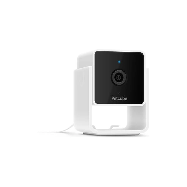 PetCube Cam - Kamery - Hlavný obrázok