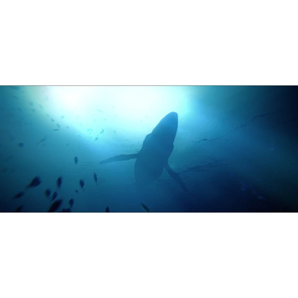 Under The Waves (PS4) - Hry na PS4 - Obrázok FAW5G00101