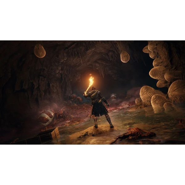 Elden Ring (PS4) - Hry na PS4 - Obrázok FLJ9300401