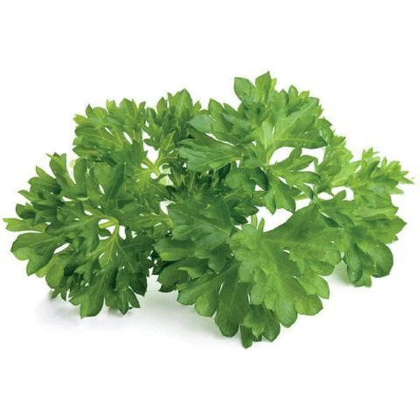 Click and Grow petržlen kapsule so semienkami a substrátom 3ks - Sadenice - Hlavný obrázok