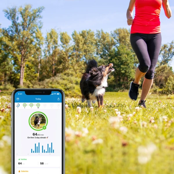 Tractive GPS DOG 4 tracker polohy a aktivity pre psov biely - GPS Moduly - Obrázok FVWK600301