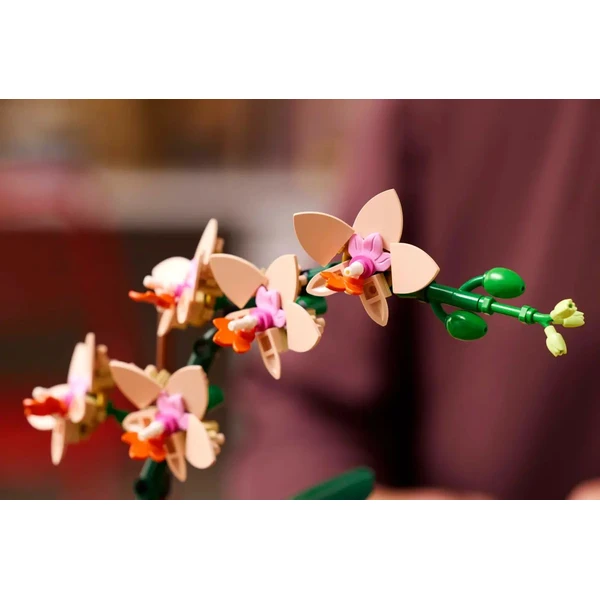 LEGO Botanicals 10343 Miniatúrna orchidea - LEGO - Obrázok G37G000N01