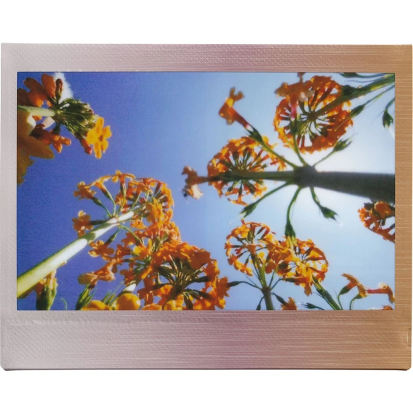 Fujifilm Instax Wide Brushed Metal film (10 ks) - Filmy pre instantné fotoaparáty - Obrázok G49C000K01