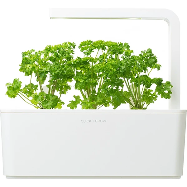 Click and Grow petržlen kapsule so semienkami a substrátom 3ks - Sadenice - Obrázok GLXR000401