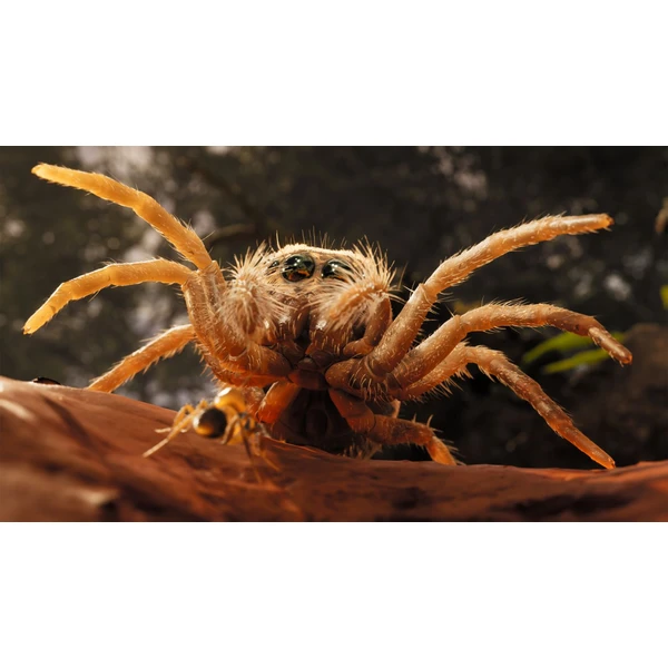 Empire of the Ants (XSX) - Hry na Xbox Series - Obrázok H3BA000J01