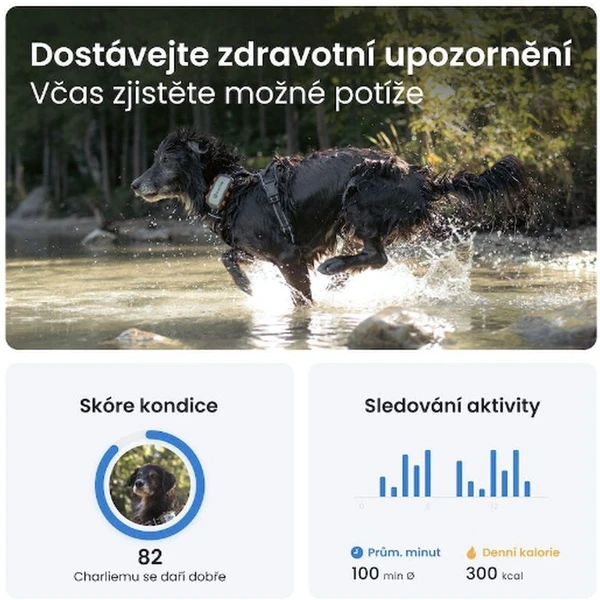 Tractive GPS DOG XL Adventure Edition tracker polohy a aktivity pre psov - GPS Moduly - Obrázok H503000L01