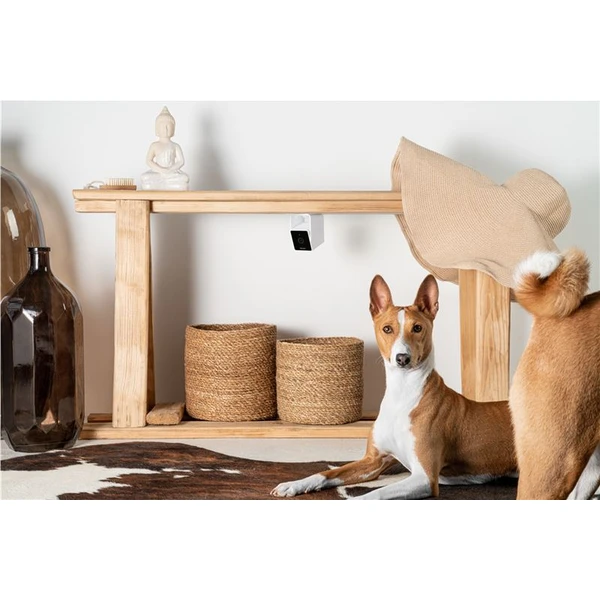 PetCube Cam - Kamery - Obrázok H5T5000J01