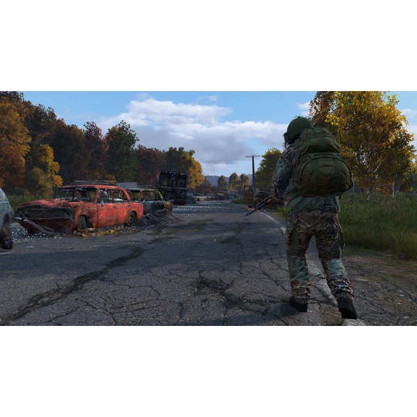 DayZ (PS4) - Hry na PS4 - Obrázok H9J3100201