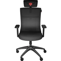 Genesis ASTAT 200 G2 ergonomická stolička čierna - Stoličky
