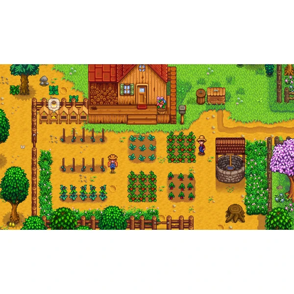 Stardew Valley (SWITCH) - Hry na Nintendo Switch - Obrázok HMK3100201