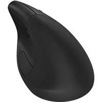 HP 925 Ergonomic bezdrôtová myš čierna - Myši