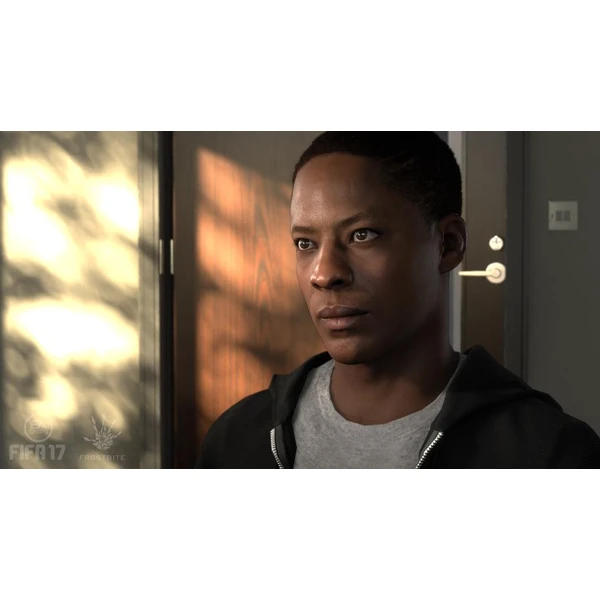 FIFA 17 (PS4) - Hry na PS4 - Obrázok HUP5100201