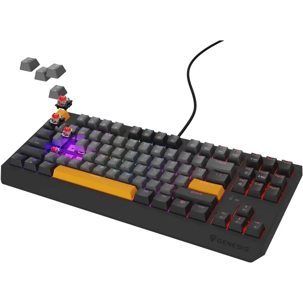 Genesis THOR 230 TKL Anchor Gray Negative RGB mechanická klávesnica - Klávesnice - Obrázok I0I5000O01