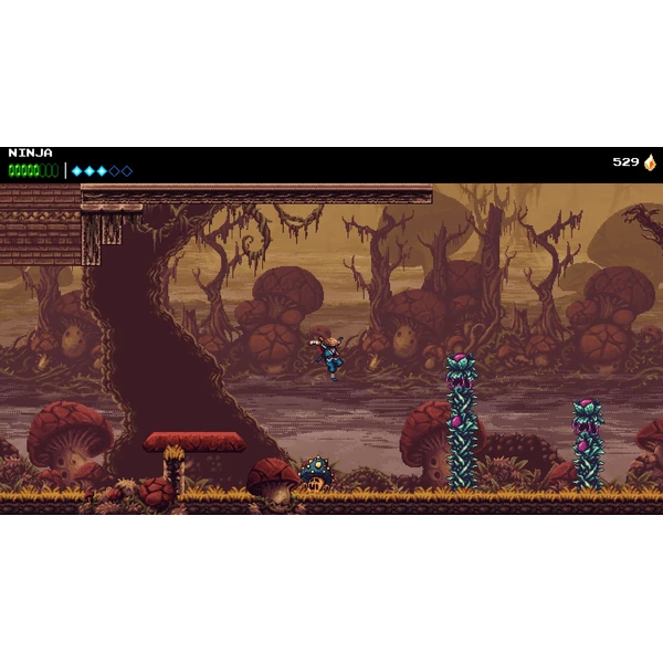 The Messenger (PS5) - Hry na PS5 - Obrázok I2XD000N01