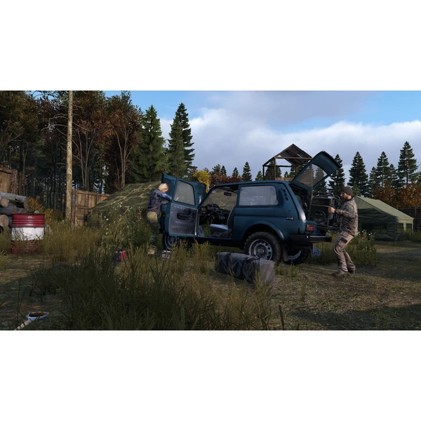 DayZ (PS4) - Hry na PS4 - Obrázok I9J3100201