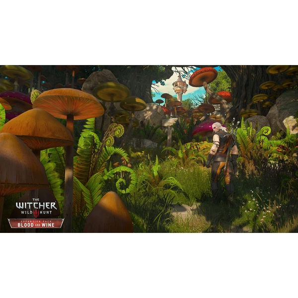 Zaklínač 3 GOTY - Anglická verzia (Xbox One) - Hry na Xbox One - Obrázok IA74100201