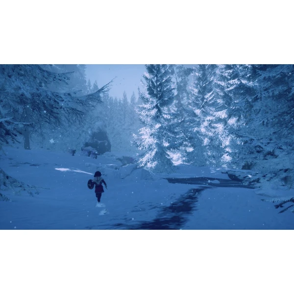 Skábma Snowfall (PS4) - Hry na PS4 - Obrázok IBF2G00101