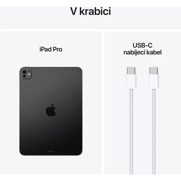 Apple iPad Pro 11" (2024) 256 GB Cellular vesmírne čierny - Tablety - Obrázok IFF4000O01