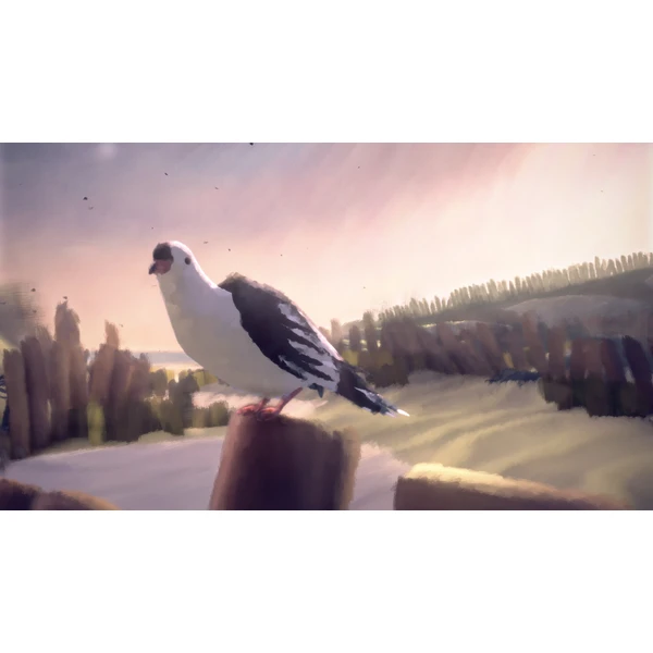 11-11 Memories Retold (PS4) - Hry na PS4 - Obrázok IFR5100201